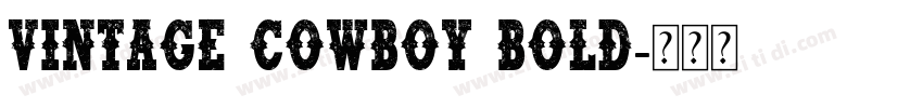 Vintage Cowboy Bold字体转换